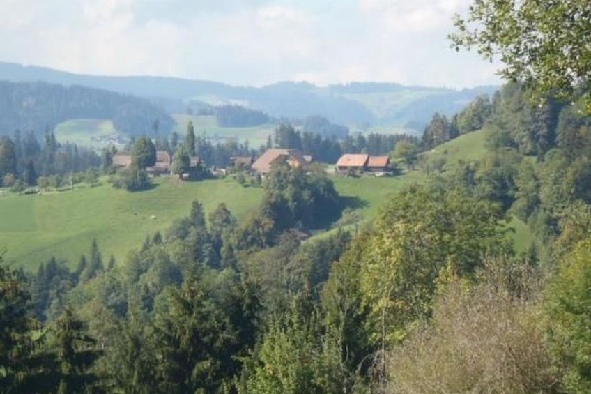 Bauern-Spycher - foto 16