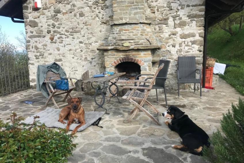 Piccola casa romantica - foto 8