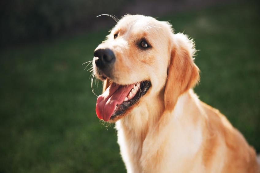 Marina 1 Bedroom Apartment 3 guest - foto 29