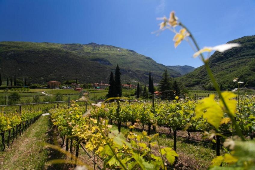 Appartamento Vrikshasana - foto 28