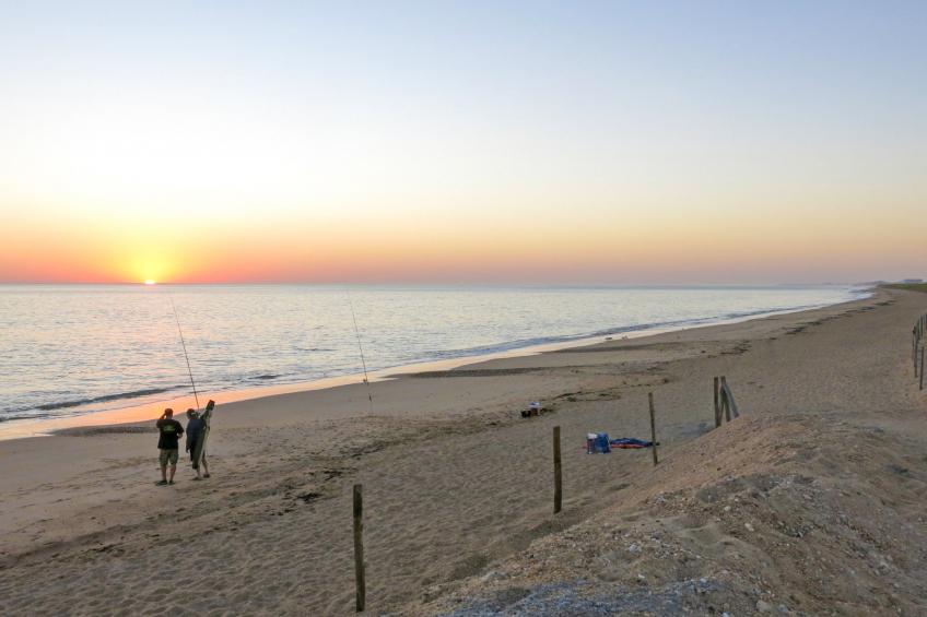 Le Grand Deau - foto 41