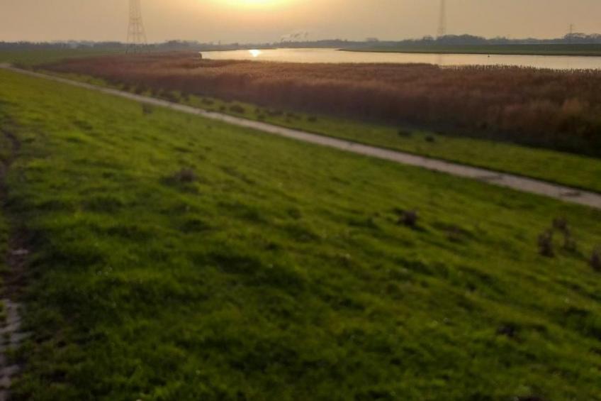 Haus Am Emsdeich - foto 26