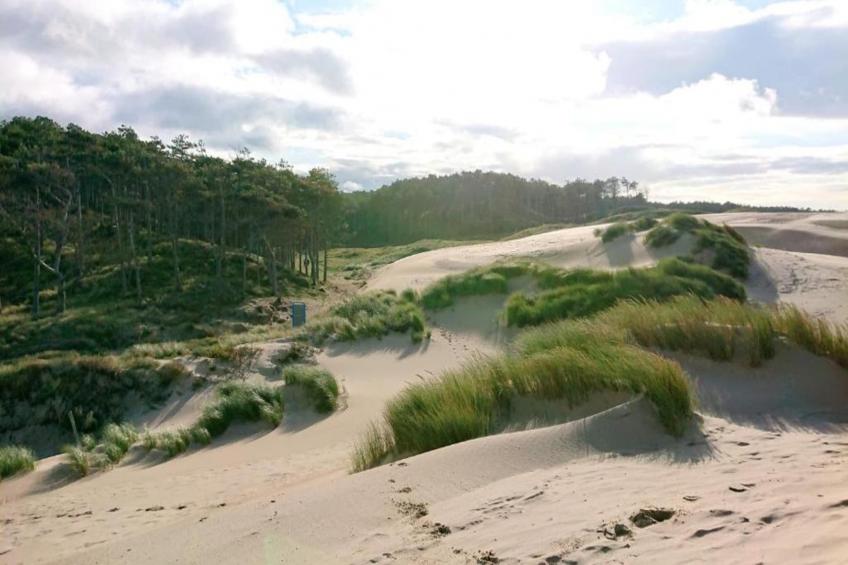 Chalet - Camping de Duinhoeve 'Bosdier' - foto 26