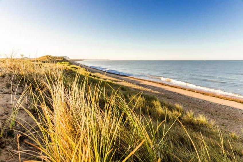 Appartements à Saint-Hilaire-de-Riez - foto 37