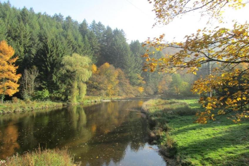 Les Mirettes - foto 35