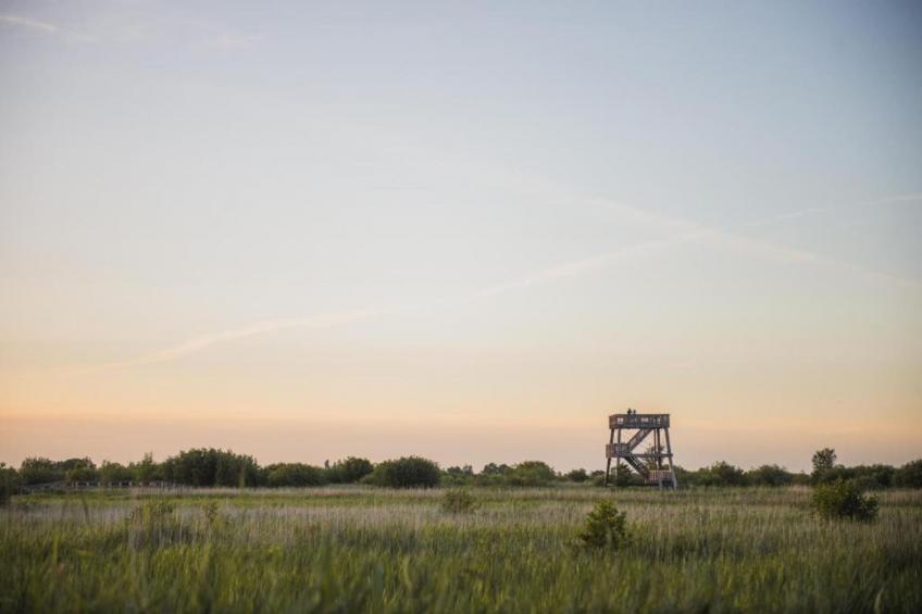 Boshuisje De Koolmees - foto 41