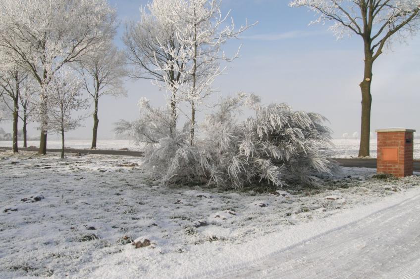 Urlaub wie früher auf einem Bauernhof mit dem Komfort von heute. - foto 42