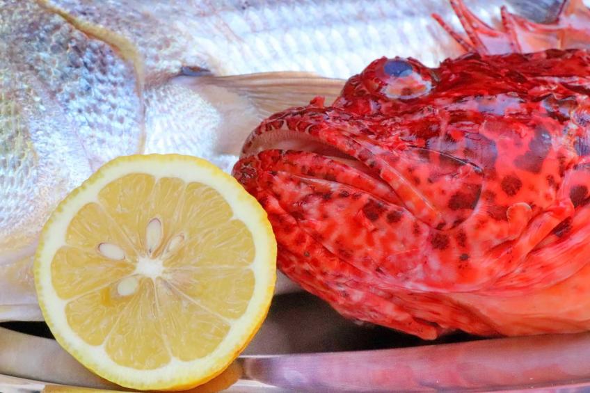 Seafront Apartments Anthony - Two Bedroom Apartment with Terrace and Sea View (A3) - foto 16