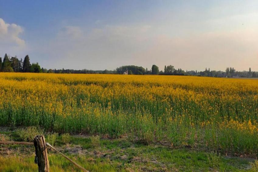 Maison de vacances - CHILLEURS-AUX-BOIS - foto 28