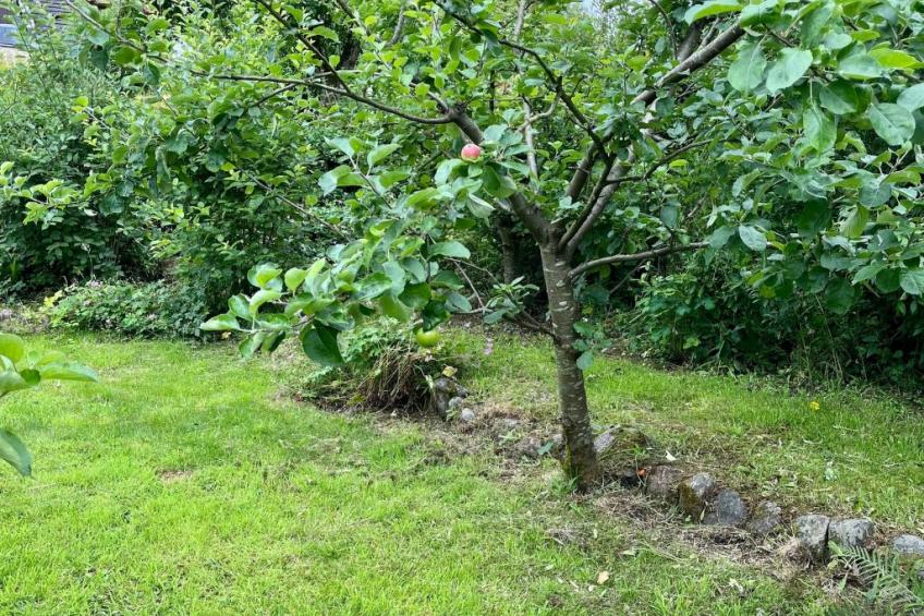 Apfel-Häuschen - foto 37