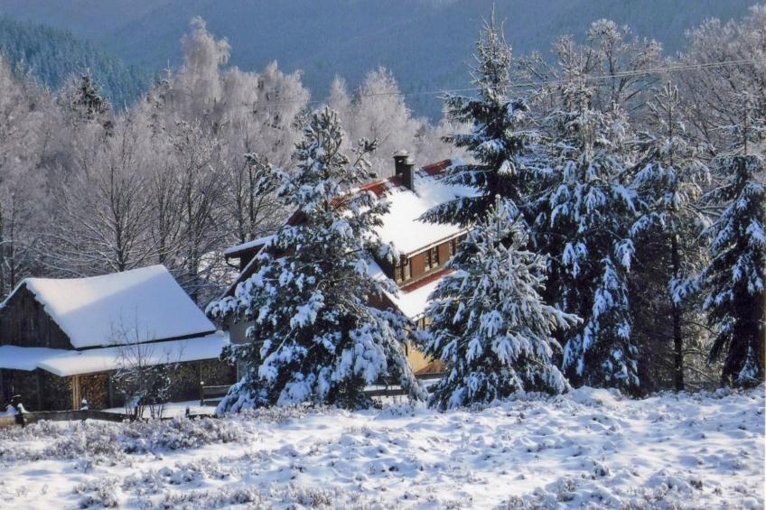 Landhaus Graf - foto 31