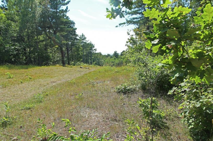 Parel aan de Duinen 3p - foto 10