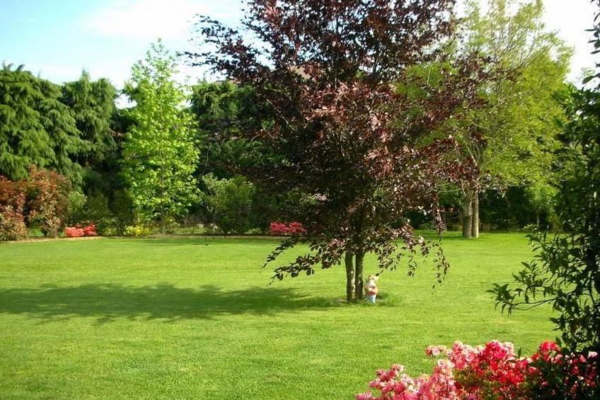 Wohnung mit Garten in der Nähe des Lago Maggiore - foto 15