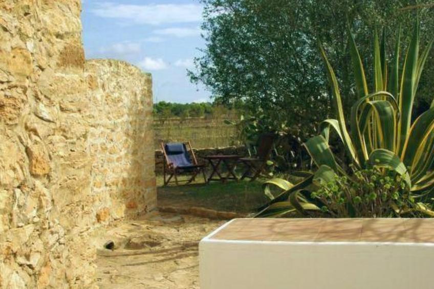 San Ferran - foto 16