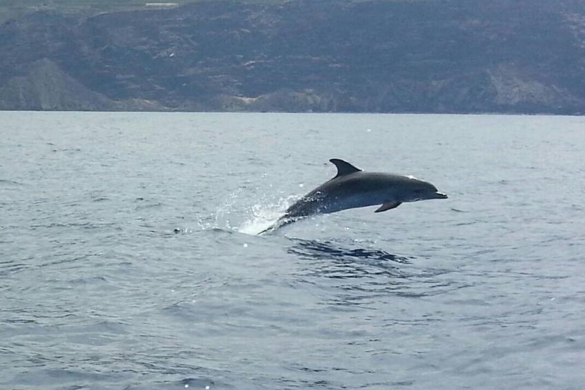 Ruhige Finca Topo del Drago mit Meerblick - foto 44