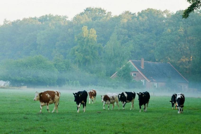 Het Kruisselt - foto 30