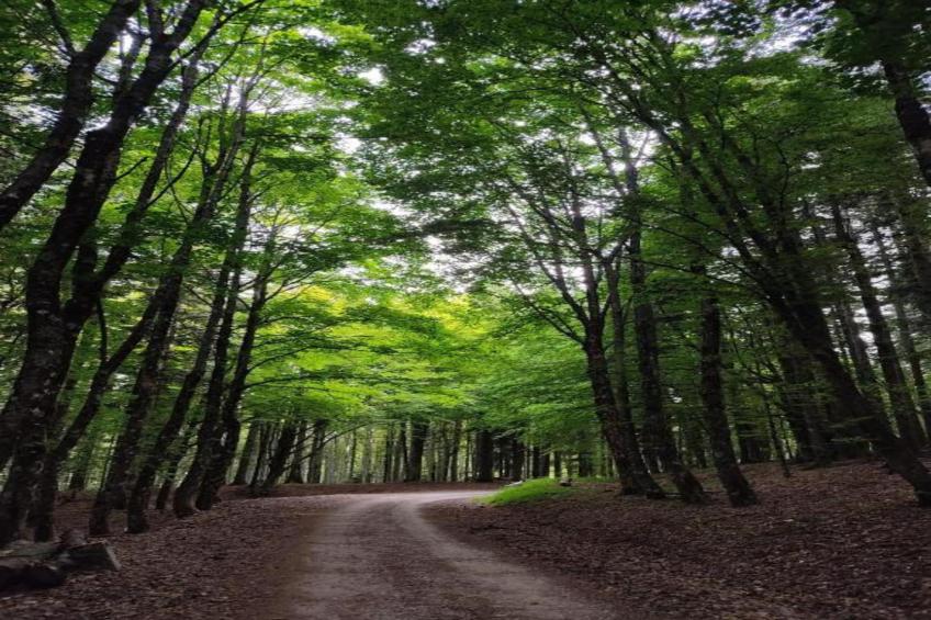 Le Paradis et Espace - foto 32