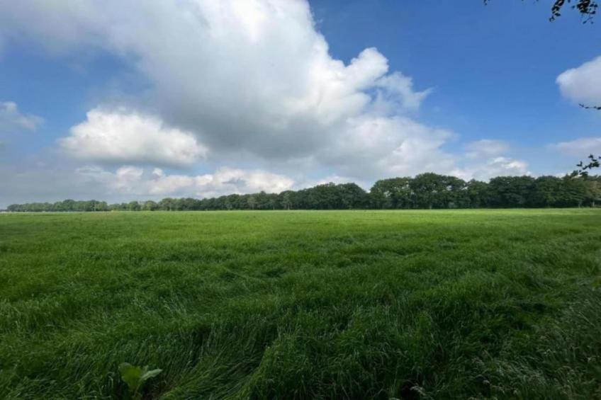 De Weelderik 1 - foto 32