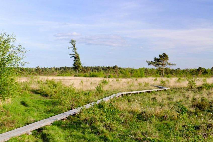 Huus in 't Hagt - foto 24