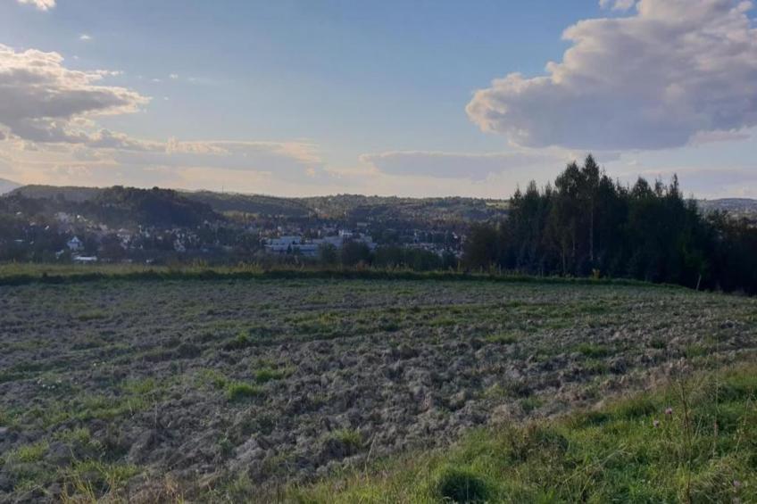 Villa Dobczyce - foto 19