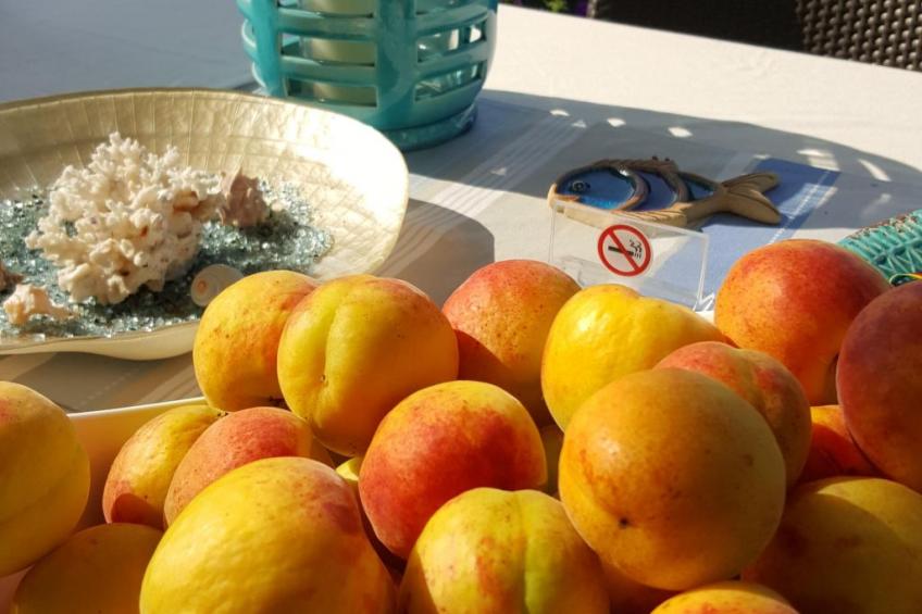 in Pallini mit Eigener Terrasse - foto 40