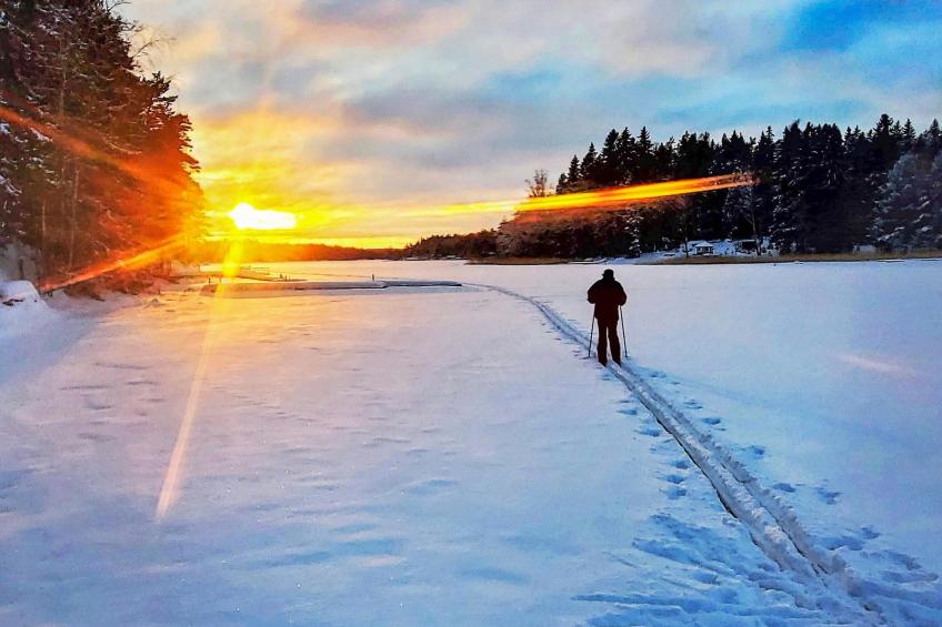 Pippuriranta - foto 32