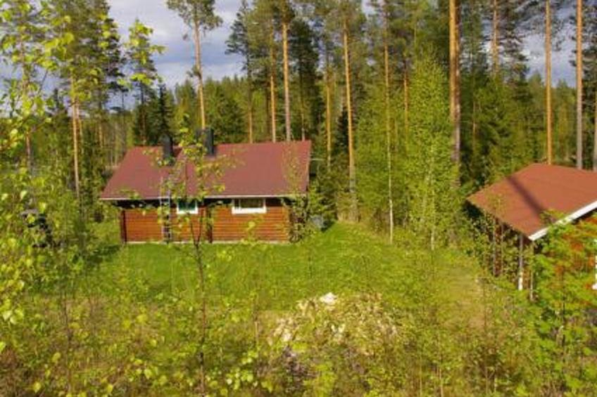 Kettupirtti - foto 5