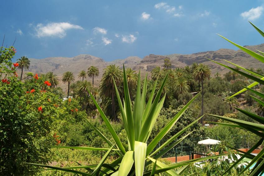 Komfortables Ferienhaus La Fuente de la Flora - foto 23