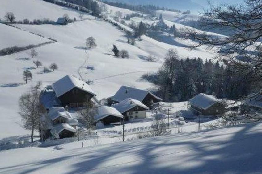 Ferienwohnung, Ferienhof Wald - foto 23