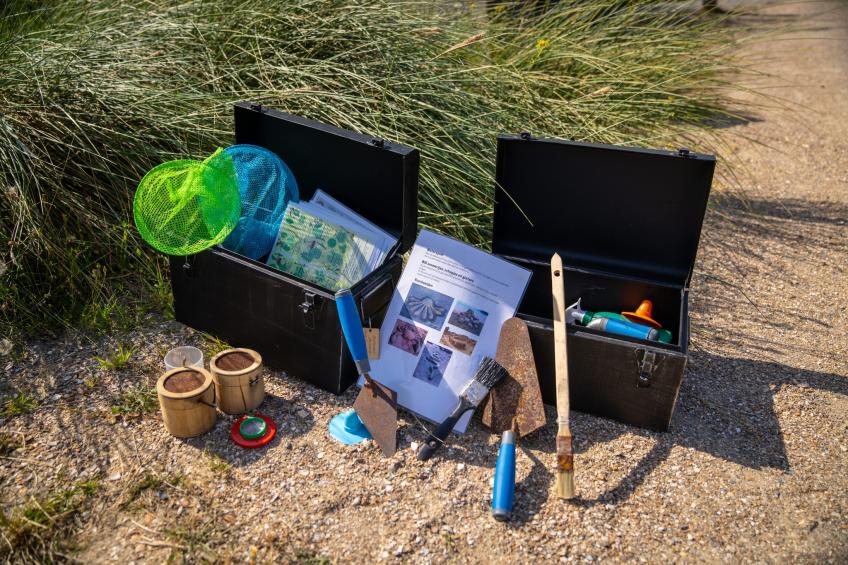 Eco Resort Grevelingenstrand - one dog - foto 31