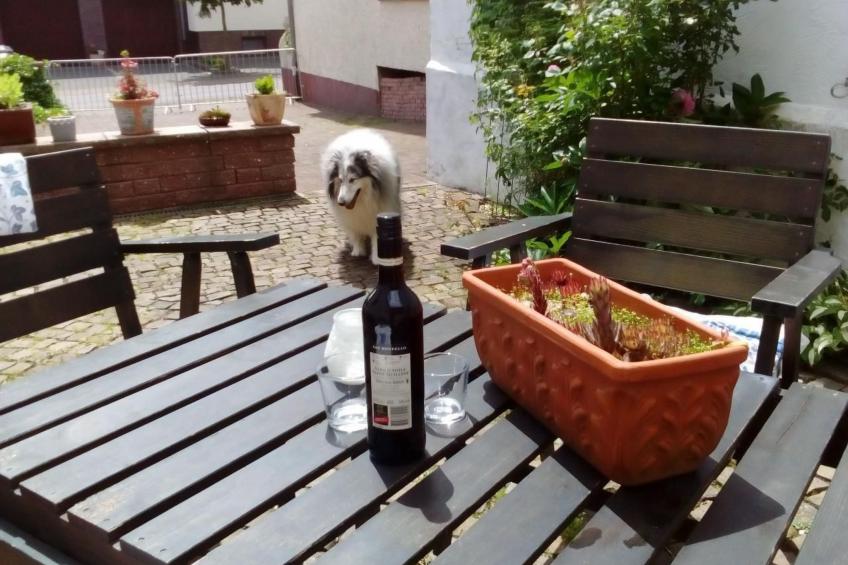 Landhaus Erika - foto 36