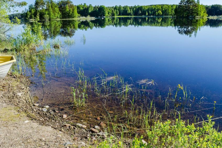 Villa eläntätila - foto 23