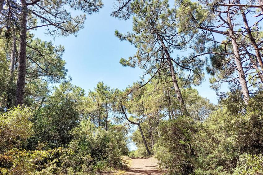 Maison de charme Les Yuccas - foto 16