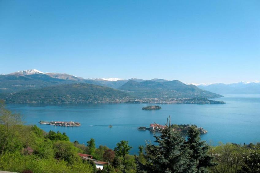 Simonetta Vignone - foto 37