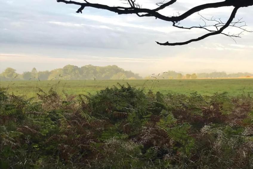 Higher House - foto 35