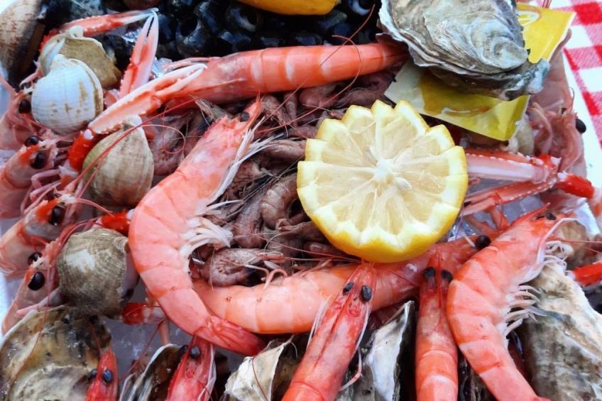 Landhaus in der Dordogne - foto 39