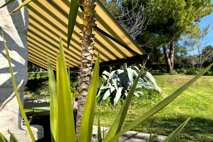 CASA ANCARANO Sirolo - foto 30