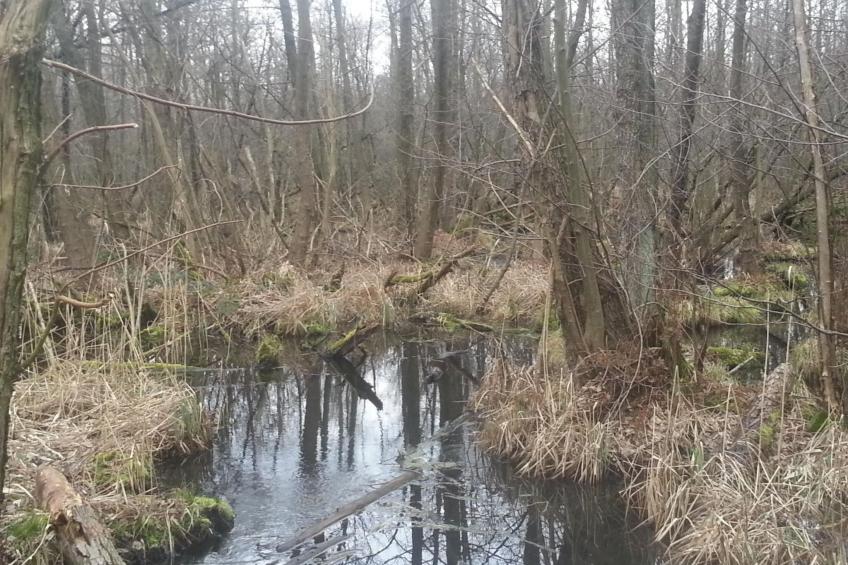 Feienhaus Gregor - foto 8