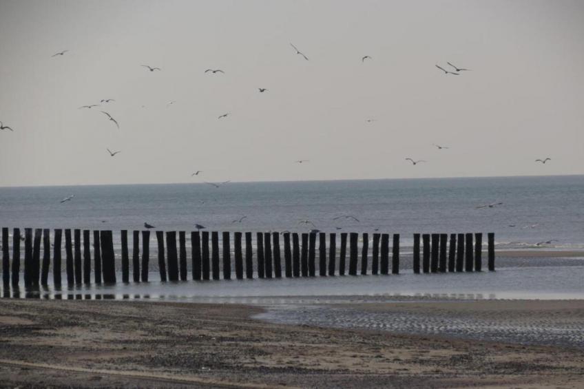 Jan van Renesseweg 1 - 2 pers - foto 32