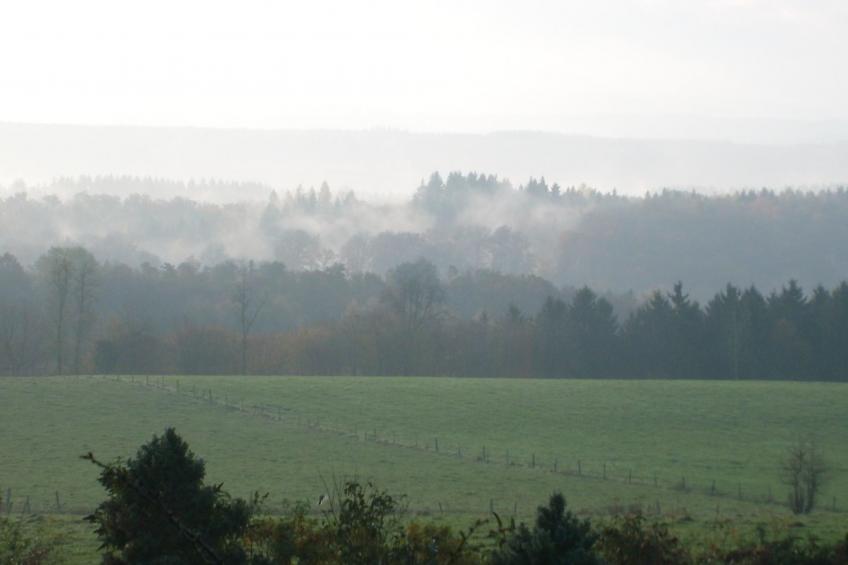 "Chalet Forzée" mit Terrasse - foto 16