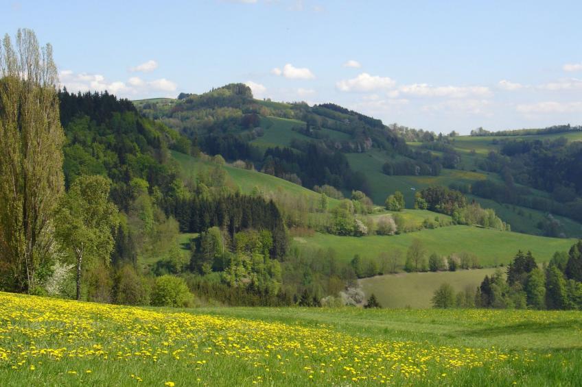 Charmantes, traditionelles Holzhaus - foto 28