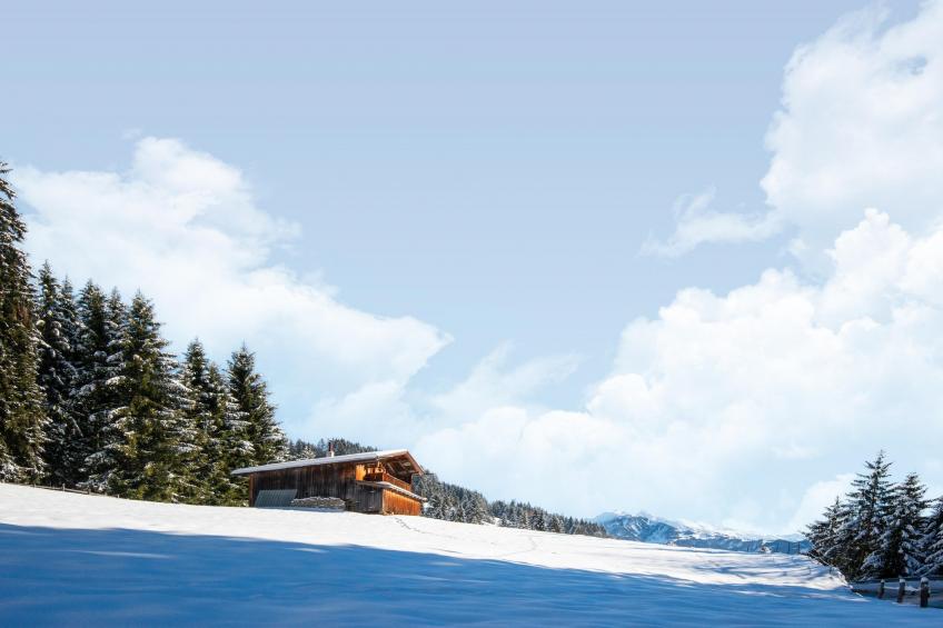 Almhütte Nase - foto 31