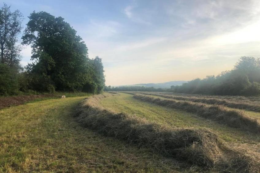 Martine Hazee - foto 33