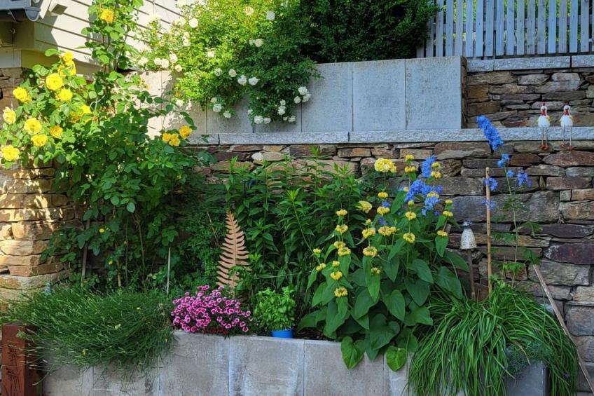 Familienidyll - foto 19