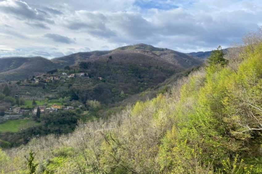 Villa Vivai - foto 41