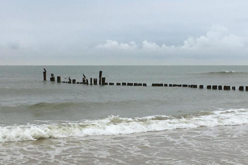 Het Schilderhuijs - foto 27