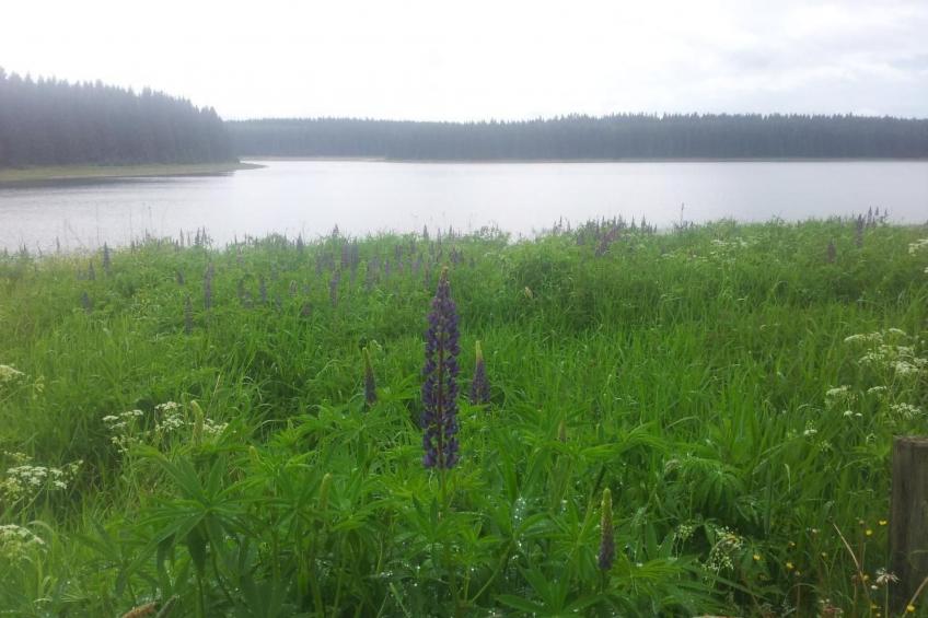 Fewo "Auersberg" WGH - foto 9