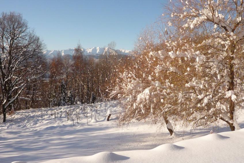 Casa Bella Vista - foto 33