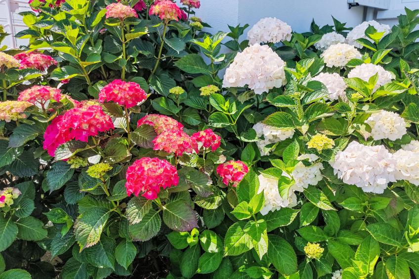 Ferienwohnung (ALE109) - foto 21