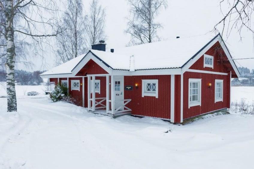 Peltosirkku, seeteri - foto 17